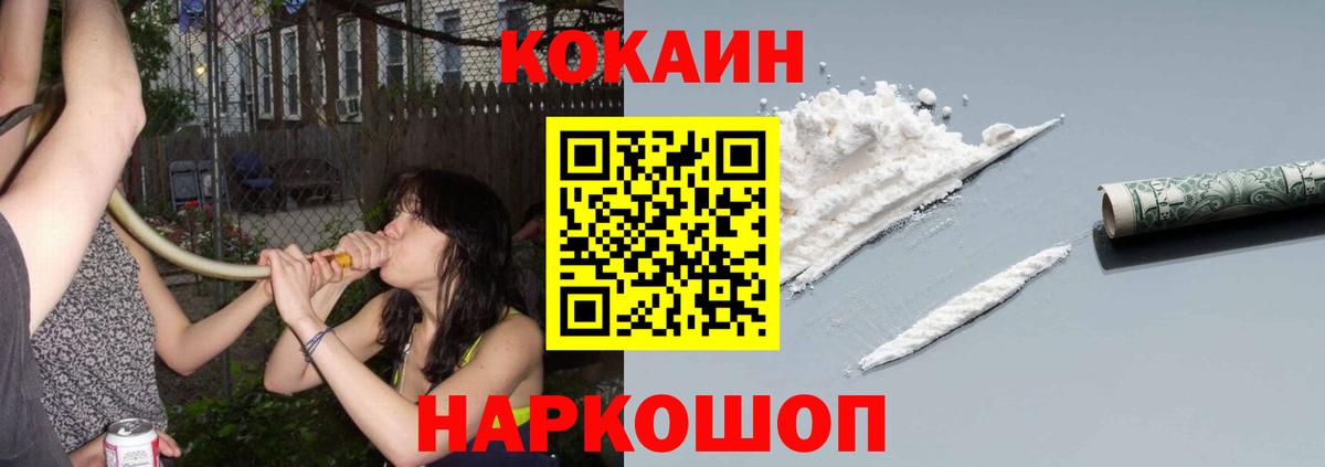 COCAIN Columbia  COCAIN Fish Scale  Вход с VPN  Ленинск-Кузнецкий 