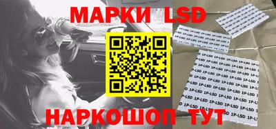 прущие грибы Дубна