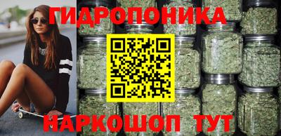 прущие грибы Дубна