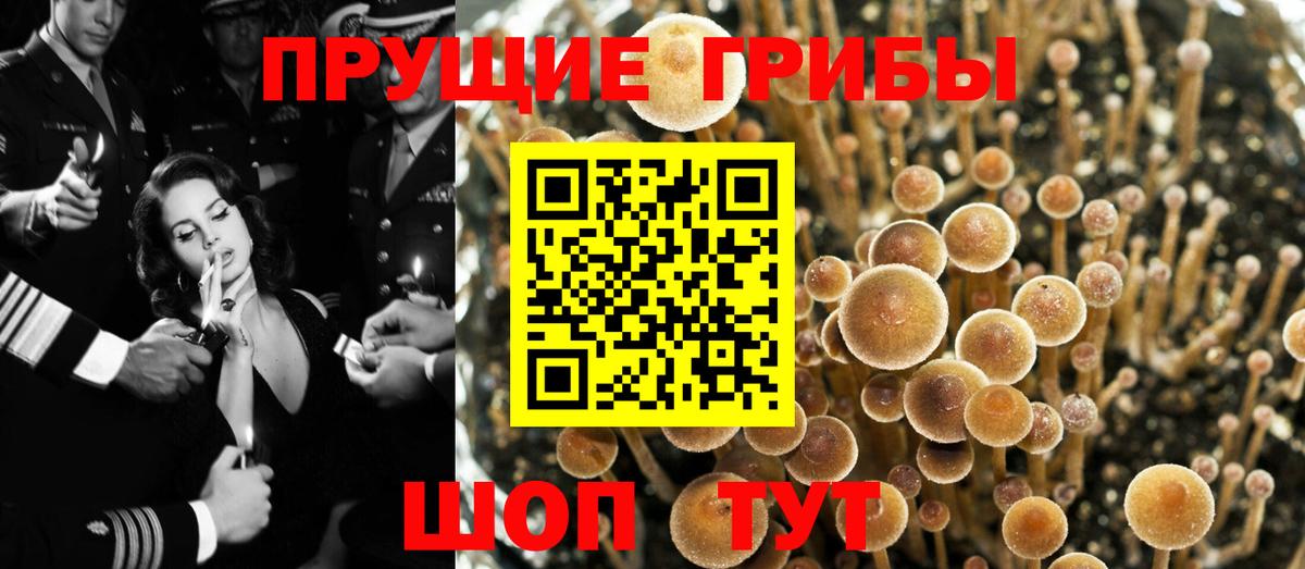 Ленинск-Кузнецкий  Галлюциногенные грибы GOLDEN TEACHER  Вход с VPN 